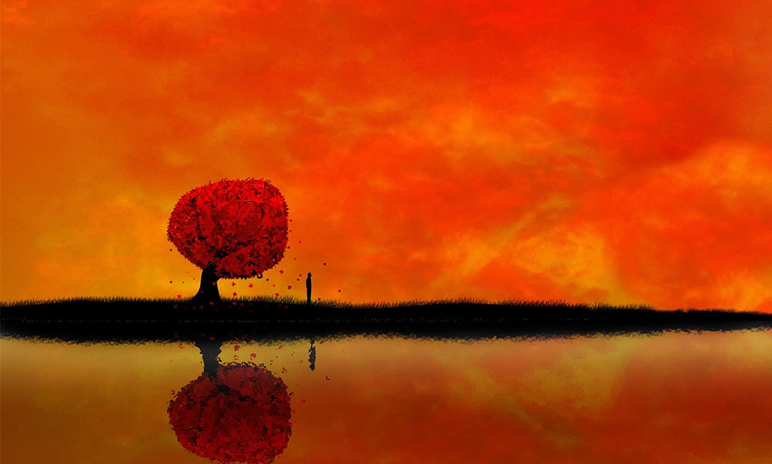 新余笙影微信朋友圈转发案例